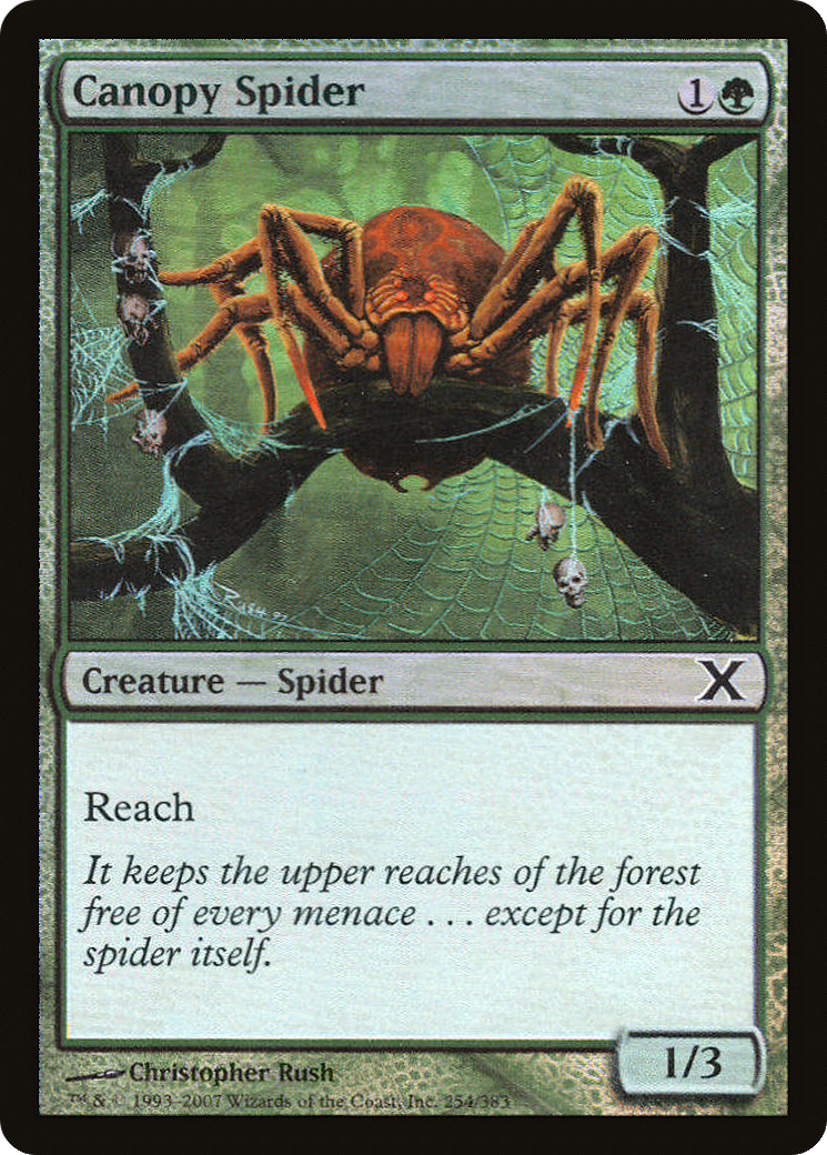 Canopy Spider (10E-254★) [Tenth Edition] Foil