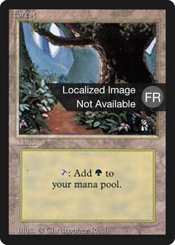 Forest (B) (FBB-286) [Foreign Black Border]