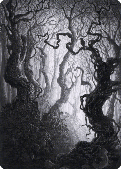 Forest // Forest (AMID-080) (Borderless) [Midnight Hunt Art Series] Foil
