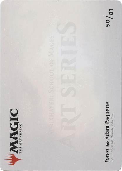 Forest // Forest (ASTX-050) (Borderless) [Strixhaven Art Series] Foil