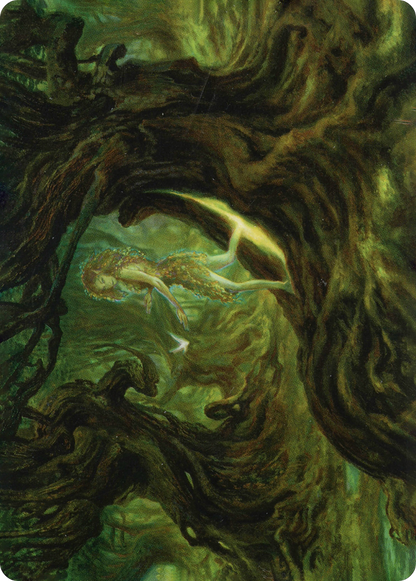 Neverwinter Dryad // Neverwinter Dryad (AAFR-069) (Borderless) [Adventures in the Forgotten Realms Art Series] Foil