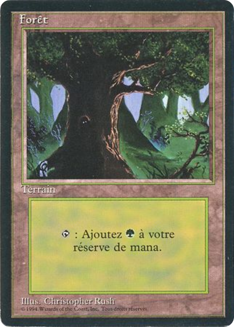 Forest (C) (FBB-285) [Foreign Black Border]