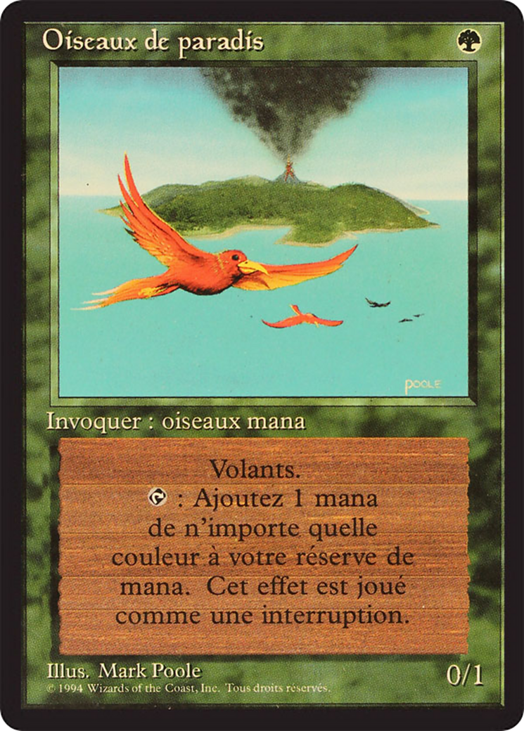 Birds of Paradise (FBB-187) [Foreign Black Border]