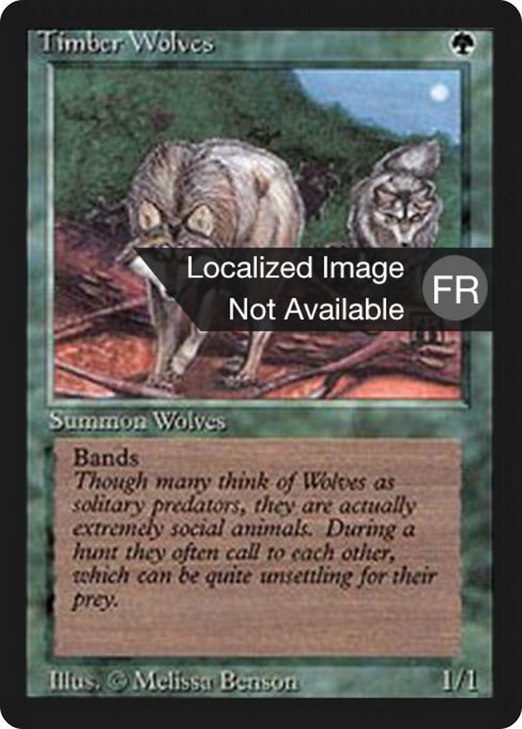 Timber Wolves (FBB-219) [Foreign Black Border]