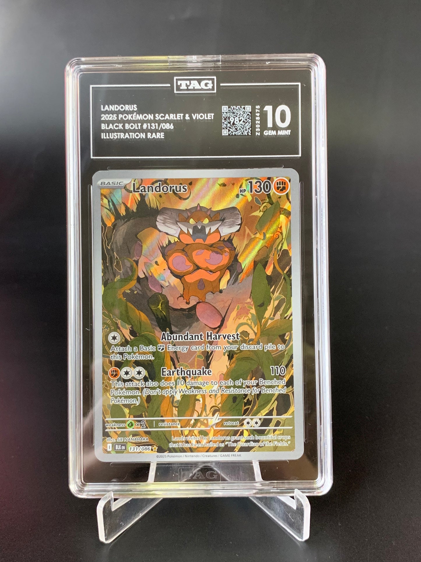 Tag Graded 10 Landorus
