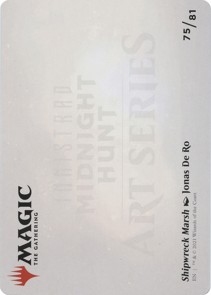 Shipwreck Marsh // Shipwreck Marsh (AMID-075) (Borderless) [Midnight Hunt Art Series]
