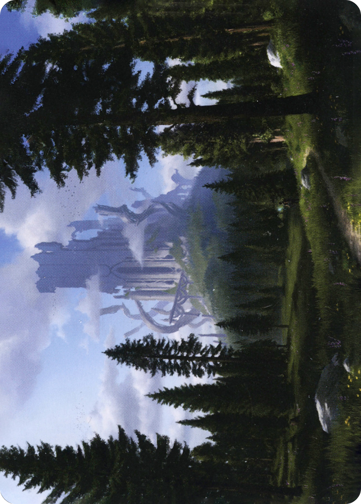Forest // Forest (AAFR-061) (Borderless) [Adventures in the Forgotten Realms Art Series]