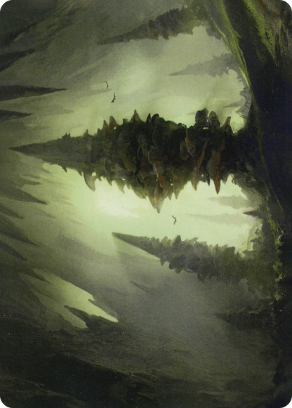 Forest // Forest (AAFR-055) (Borderless) [Adventures in the Forgotten Realms Art Series]