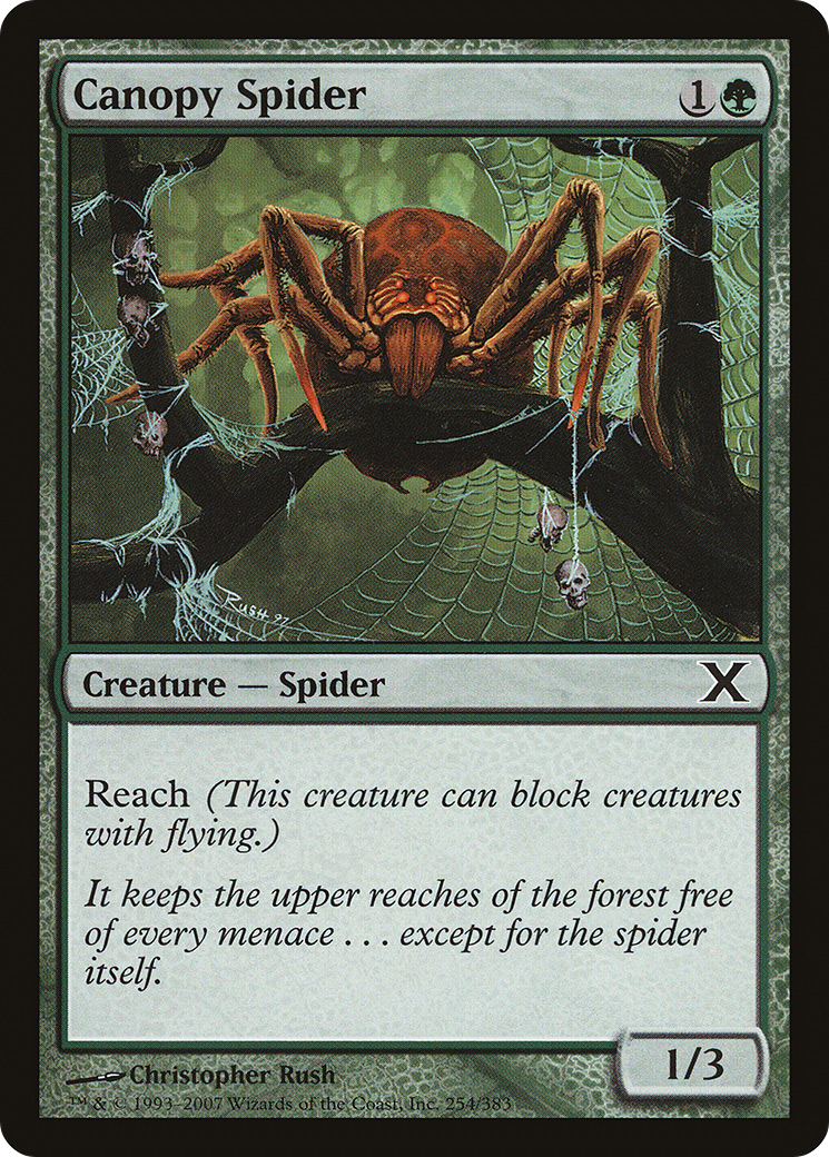 Canopy Spider (10E-254) [Tenth Edition]
