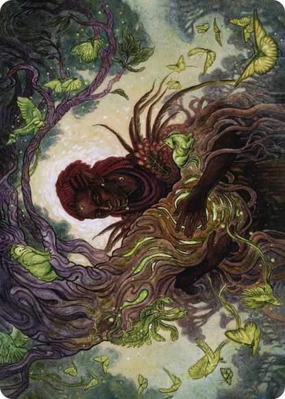 Circle of Dreams Druid // Circle of Dreams Druid (AAFR-066) (Borderless) [Adventures in the Forgotten Realms Art Series]